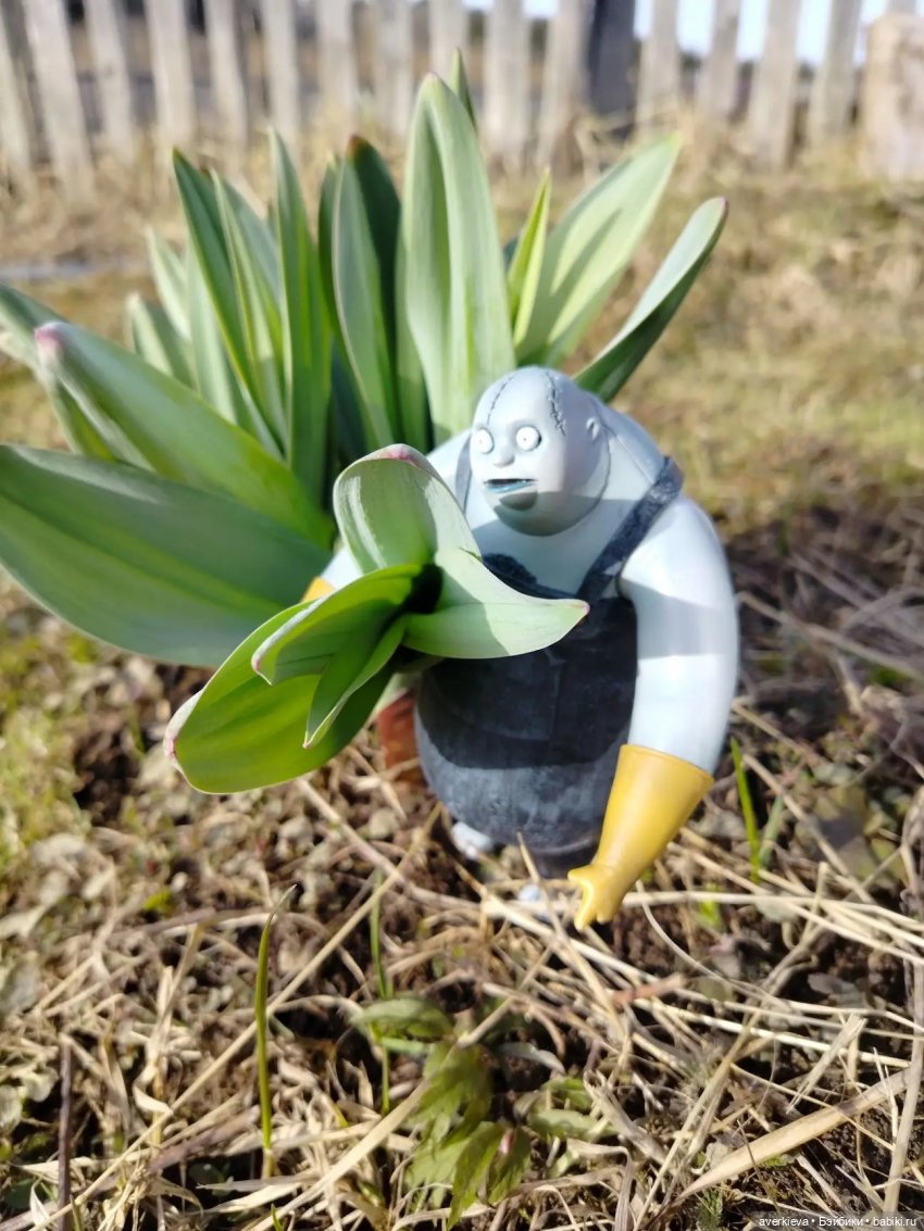 Альфред в Вологде — Игровые куклы разных производителей (Разное): редкие бренды (фото 10)