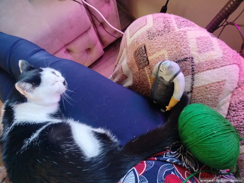 Альфред в Вологде — Игровые куклы разных производителей (Разное): редкие бренды (фото 2)