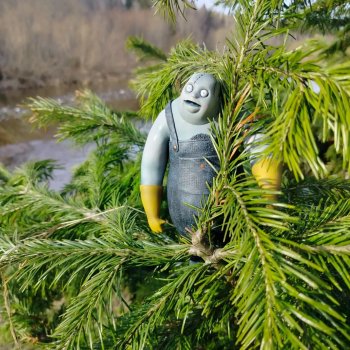 Альфред в Вологде