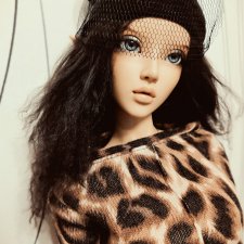 Любимая кошечка