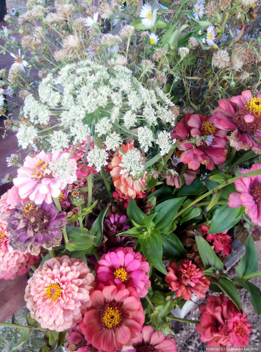 Сентябрьское — Болталка и разговоры обо всем: жизнь