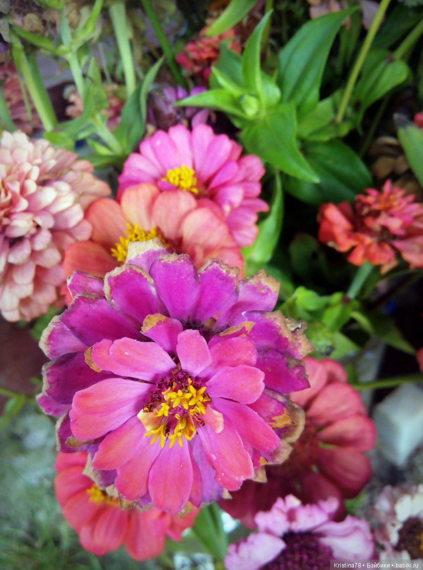 Сентябрьское — Болталка и разговоры обо всем: жизнь (фото 2)