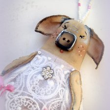 Моя новенькая