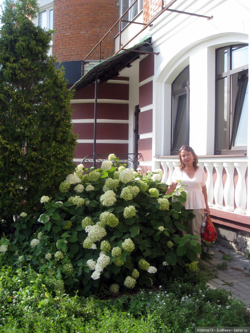 Наше маленькое путешествие (фото 9)