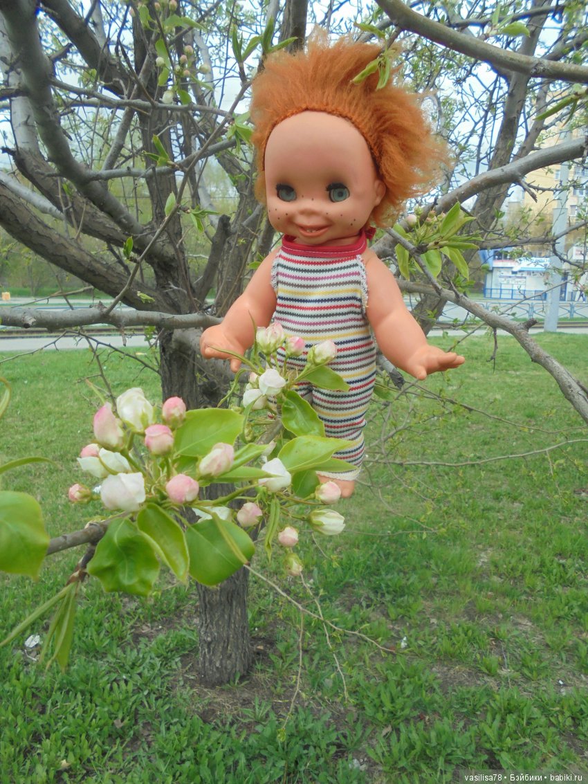 Знакомство — Болталка и разговоры обо всем: жизнь (фото 3)