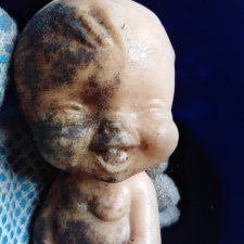 Дачный беспризорник