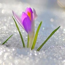 Первый день весны. ФОТОМАРАФОН