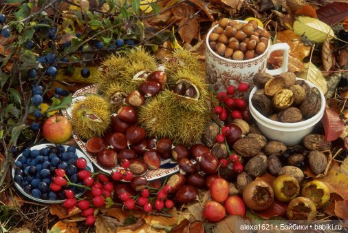 Анонс-приглашение. Урожай-2020 (фото 3)