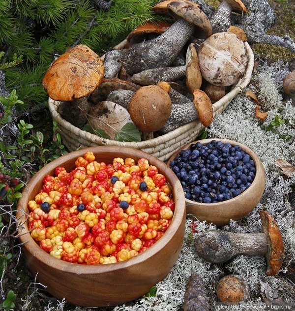 Анонс-приглашение. Урожай-2020 (фото 4)