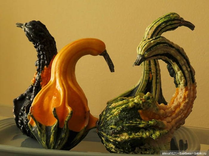 Анонс-приглашение. Урожай-2020 (фото 6)