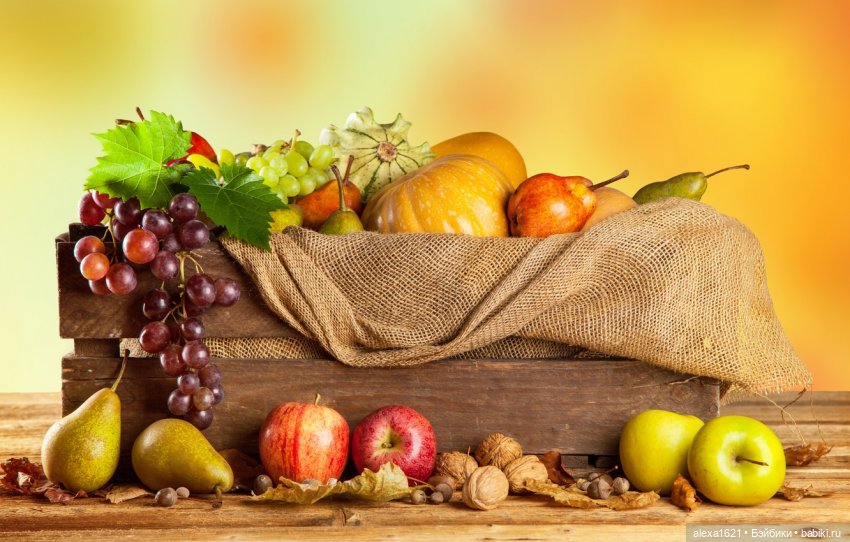 Урожай - 2020. ФЛЕШМОБ — Кукольные флешмобы: Эстафеты (фото 4)