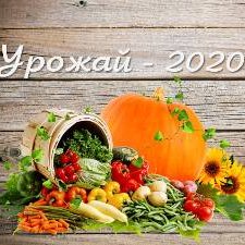 Напоминание о фотомарафоне "Урожай 2020"