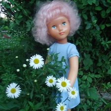 Ромашки для Наташи