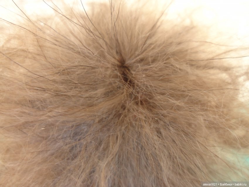 Парички для Дюймовочек-Хаврошечек. Мой опыт