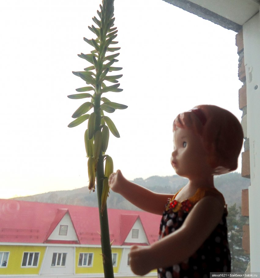 Дина: цветет ли алоэ — Советские винтажные куклы (СССР): Ленигрушка (фото 6)