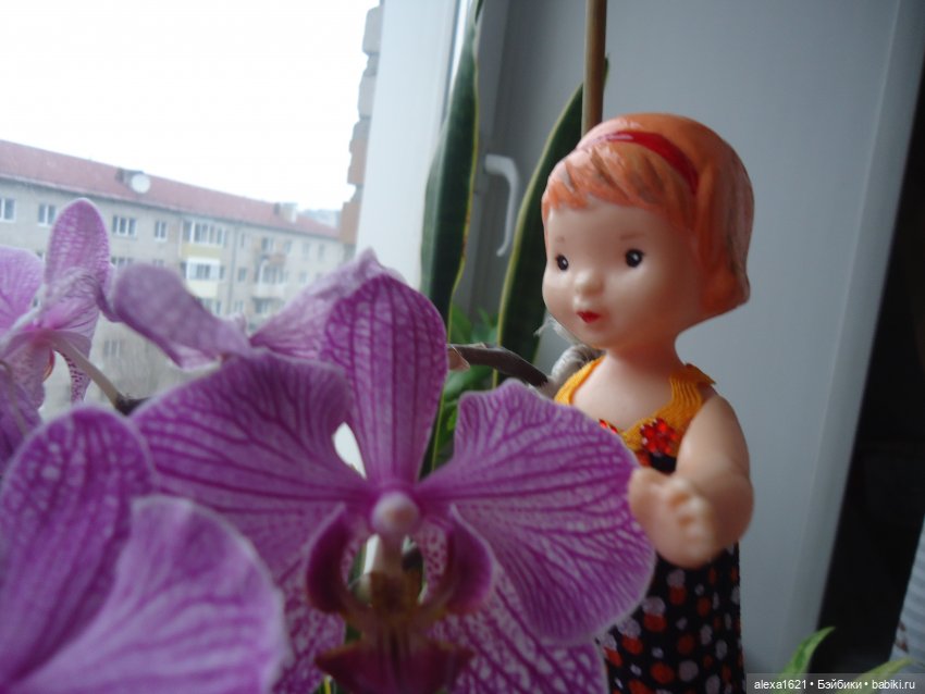 Дина: цветет ли алоэ — Советские винтажные куклы (СССР): Ленигрушка (фото 9)