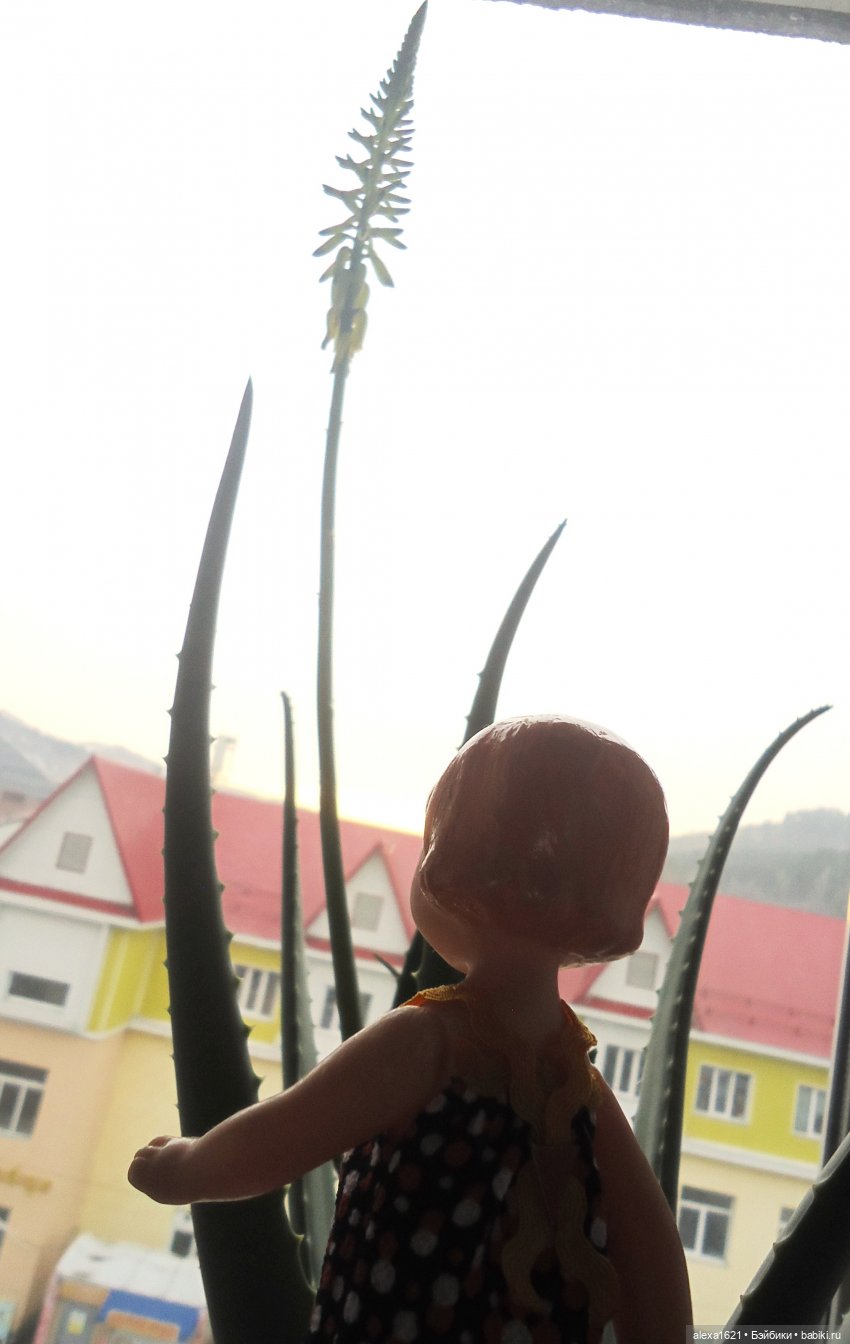 Дина: цветет ли алоэ — Советские винтажные куклы (СССР): Ленигрушка (фото 5)