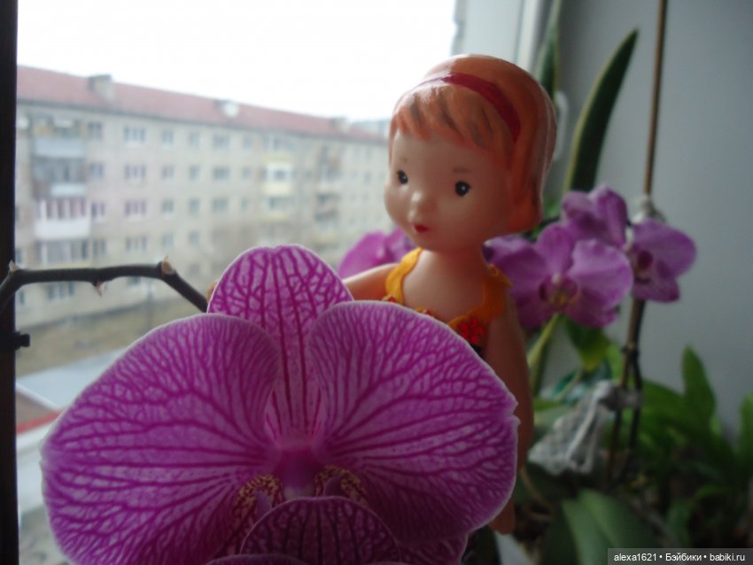 Дина: цветет ли алоэ — Советские винтажные куклы (СССР): Ленигрушка (фото 10)