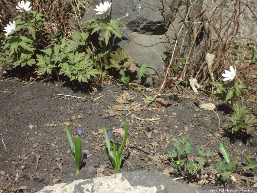 Весна пришла! Кира — Советские винтажные куклы (СССР): Ленигрушка (фото 9)