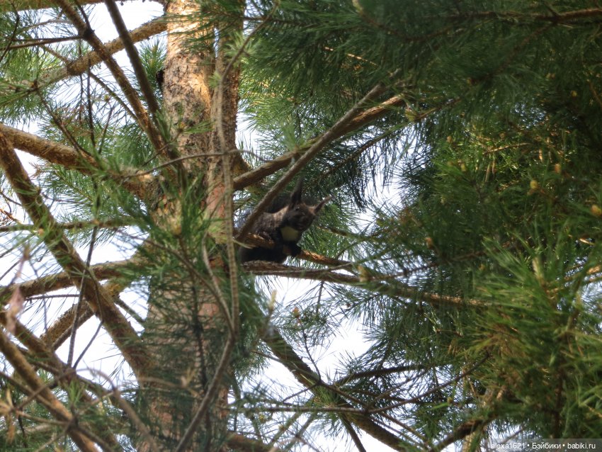 Оля. Гора Тугая — Советские винтажные куклы (СССР): Ленигрушка