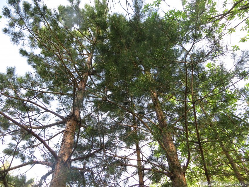 Оля. Гора Тугая — Советские винтажные куклы (СССР): Ленигрушка