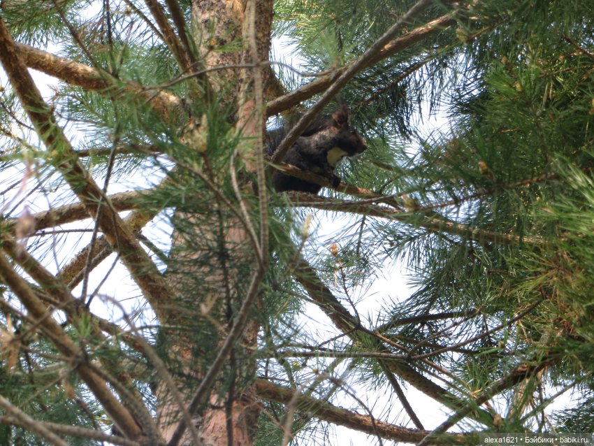 Оля. Гора Тугая — Советские винтажные куклы (СССР): Ленигрушка