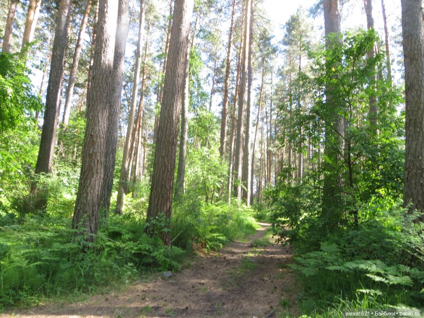 Путешествие на водопад — Советские винтажные куклы (СССР): Ленигрушка