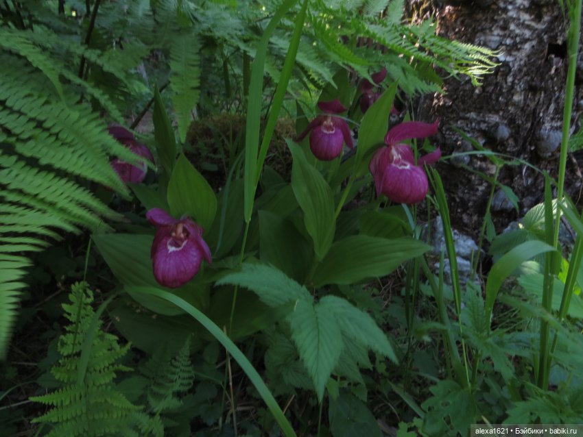Путешествие на водопад — Советские винтажные куклы (СССР): Ленигрушка