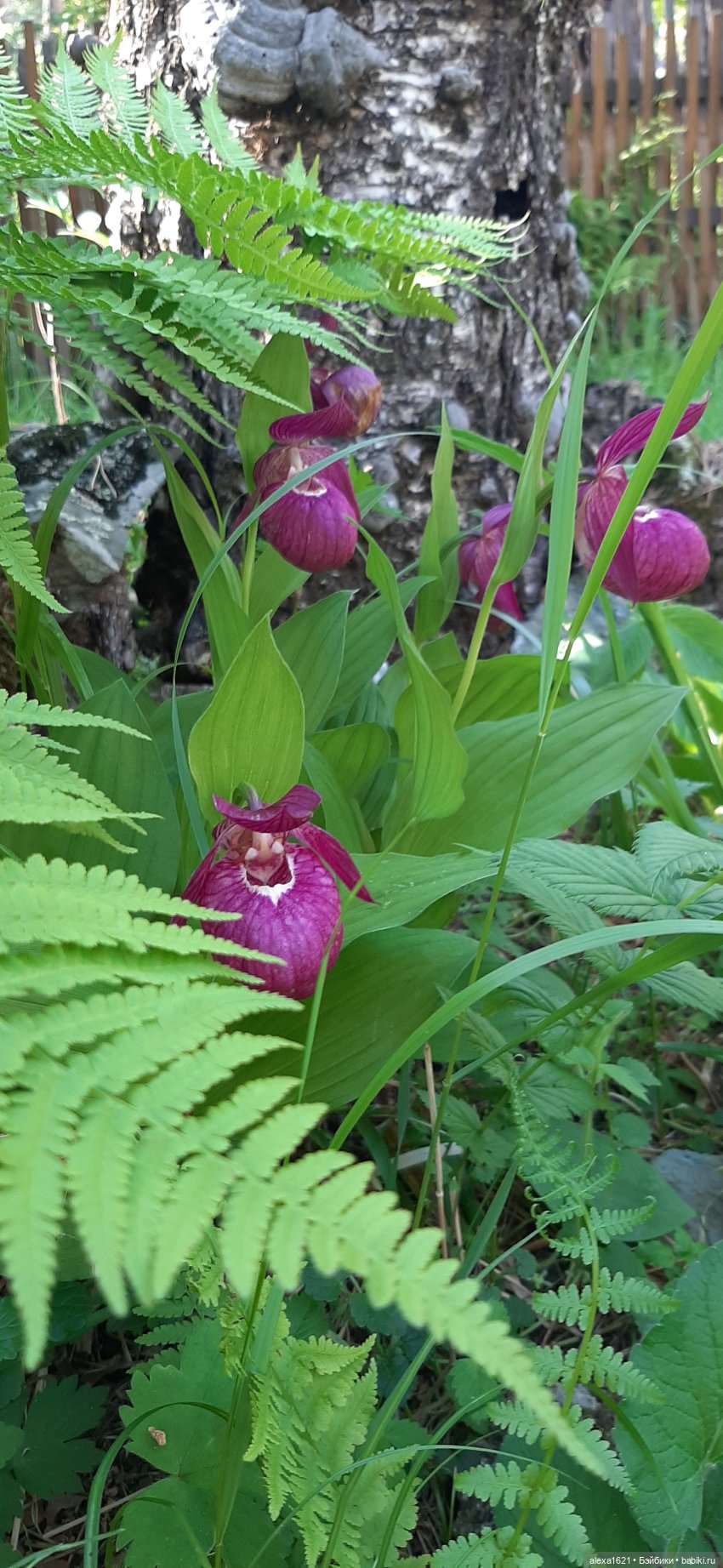 Путешествие на водопад — Советские винтажные куклы (СССР): Ленигрушка