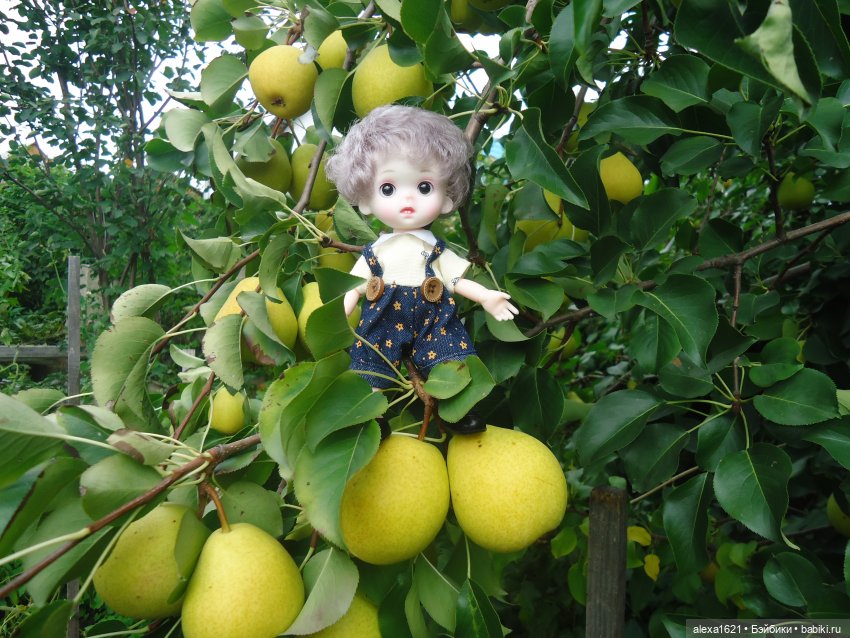 Яблочное настроение — Куклы Paola Reina (Паола Рейна): новинки