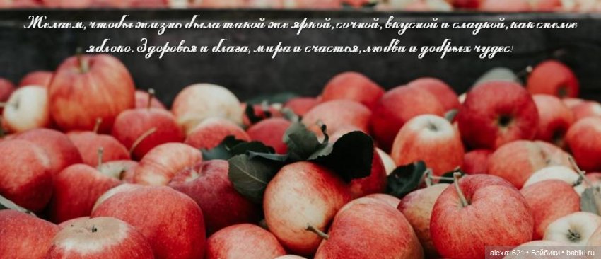 Яблочное настроение — Куклы Paola Reina (Паола Рейна): новинки