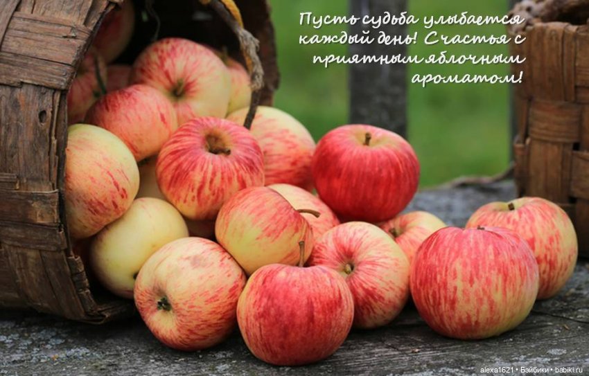 Яблочное настроение — Куклы Paola Reina (Паола Рейна): новинки