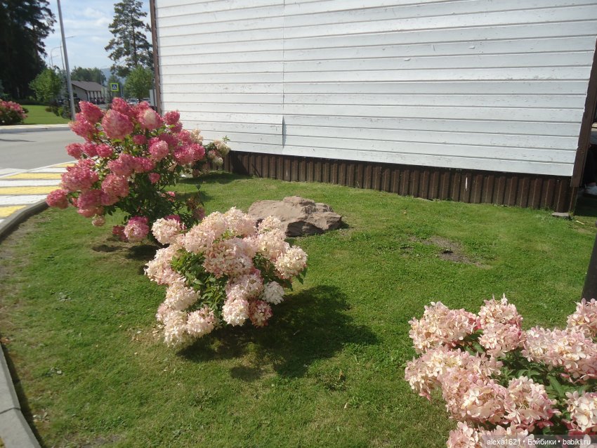 Ева в Мажероке — Куклы Berjuan (Бержуан): Биггерсы (Biggers)