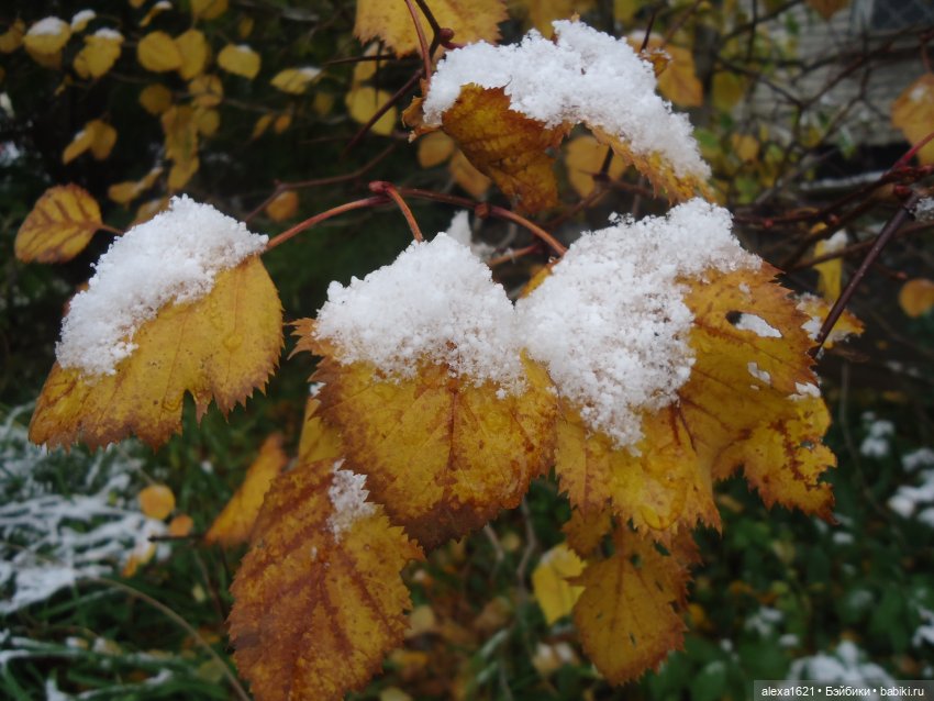 Танюшка — Советские винтажные куклы (СССР): Ленигрушка