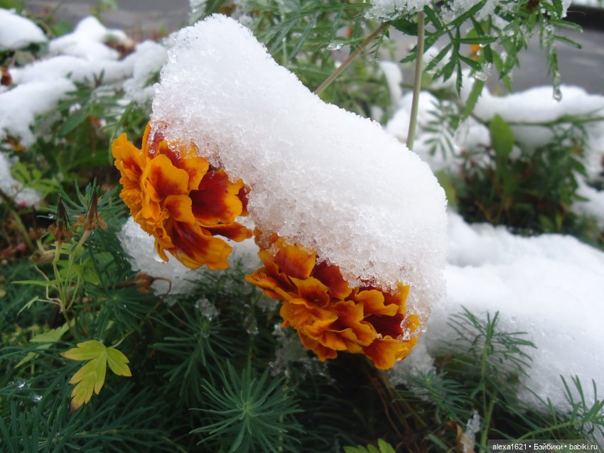 Танюшка — Советские винтажные куклы (СССР): Ленигрушка (фото 3)