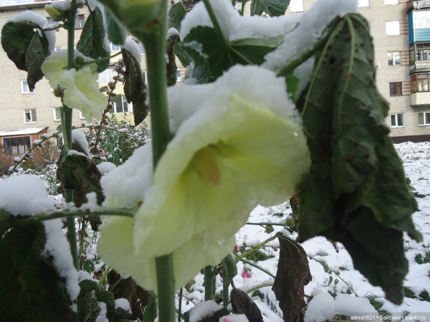 Танюшка — Советские винтажные куклы (СССР): Ленигрушка (фото 5)