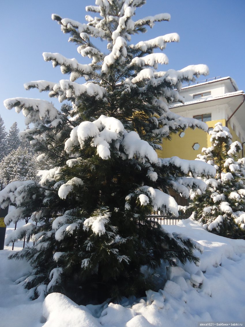 Мороз и солнце Аллочка — Советские винтажные куклы (СССР): Ленигрушка