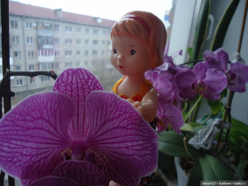 Весна, цветы, поздравления (фото 9)