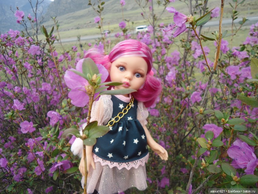 Росела Цветет маральник — Куклы Paola Reina (Паола Рейна): новинки