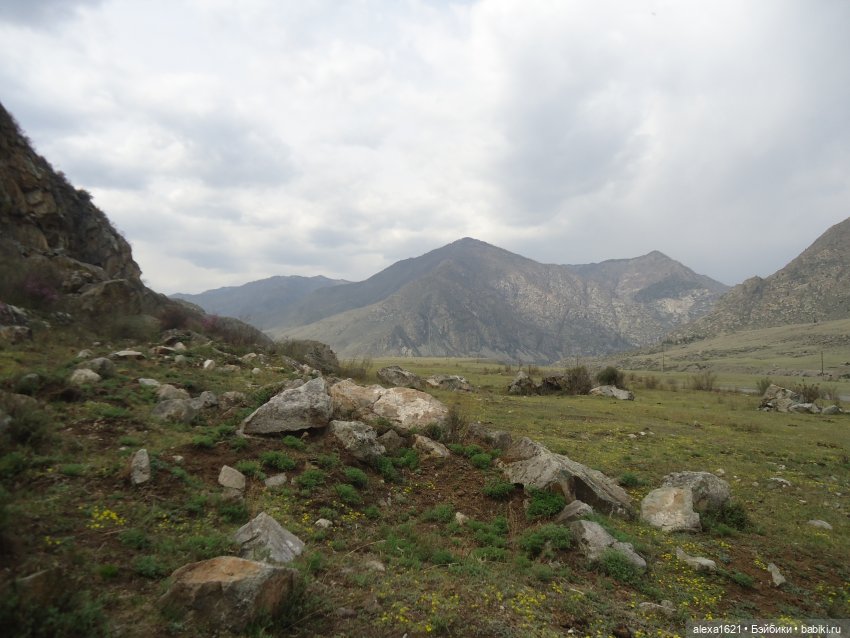 Росела Цветет маральник — Куклы Paola Reina (Паола Рейна): новинки (фото 4)