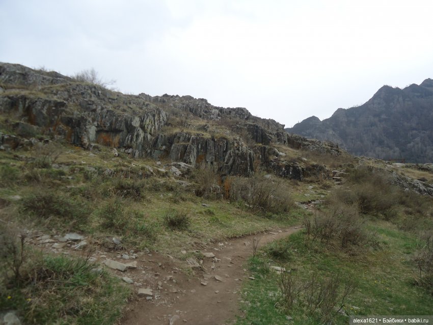 Росела Калбак-Таш Петроглифы (фото 5)