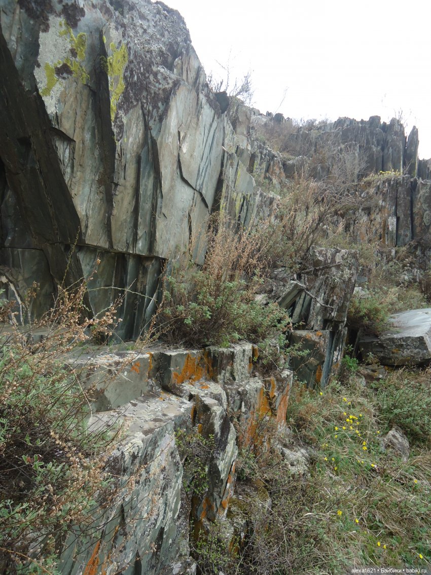 Росела Калбак-Таш Петроглифы (фото 6)