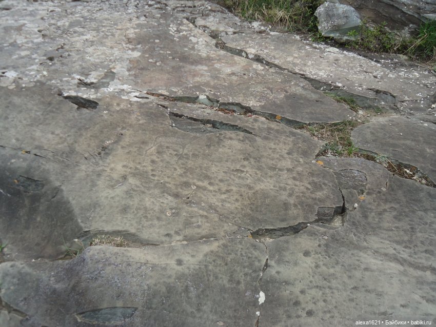 Росела Калбак-Таш Петроглифы