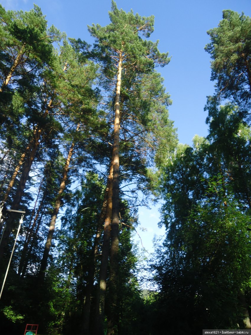 Алёнка Финские Дачи — Советские винтажные куклы (СССР): Ленигрушка