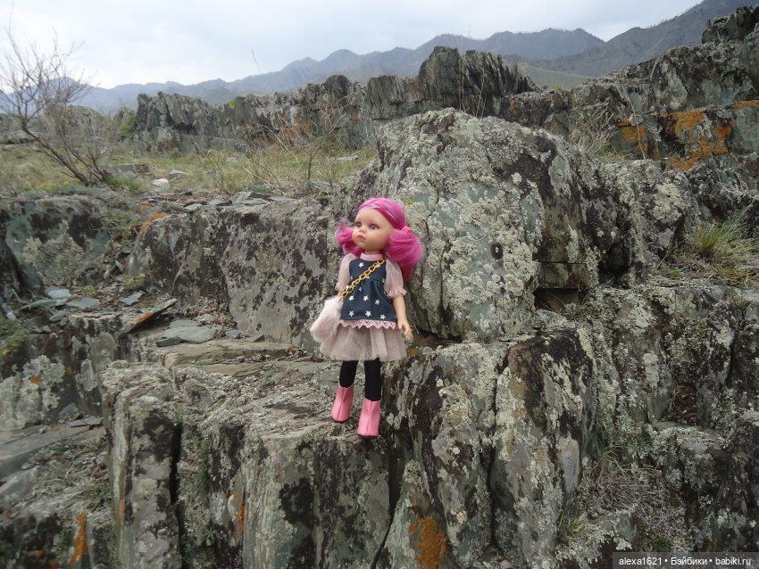 Росела Калбак-Таш Петроглифы