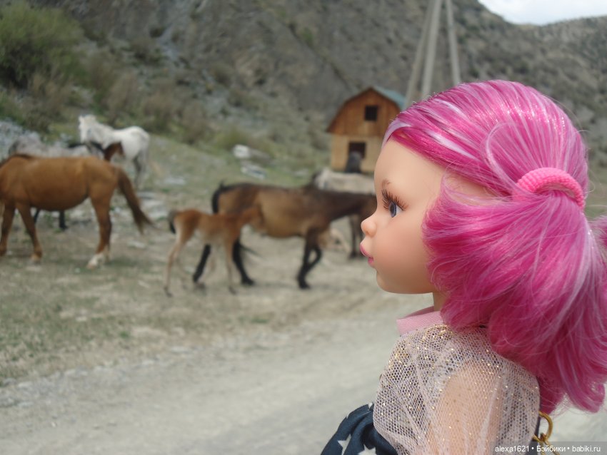 Росела Калбак-Таш Петроглифы