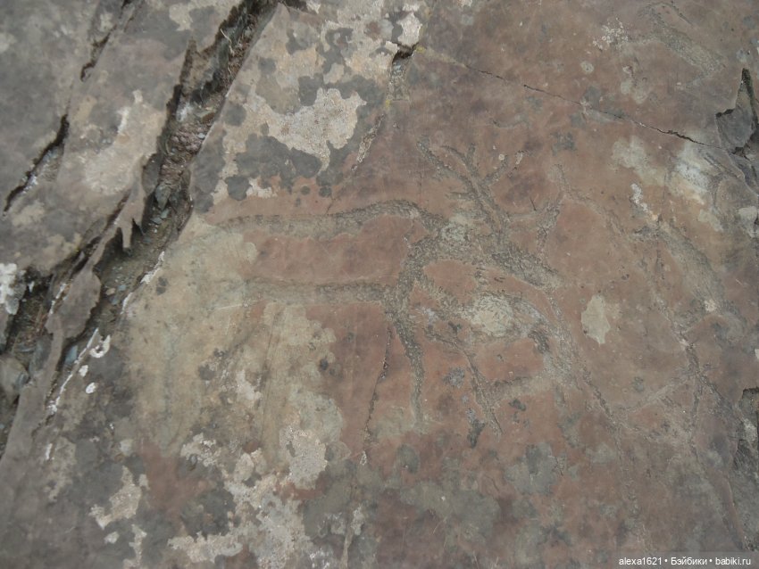 Росела Калбак-Таш Петроглифы (фото 9)