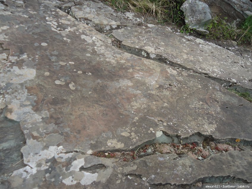 Росела Калбак-Таш Петроглифы