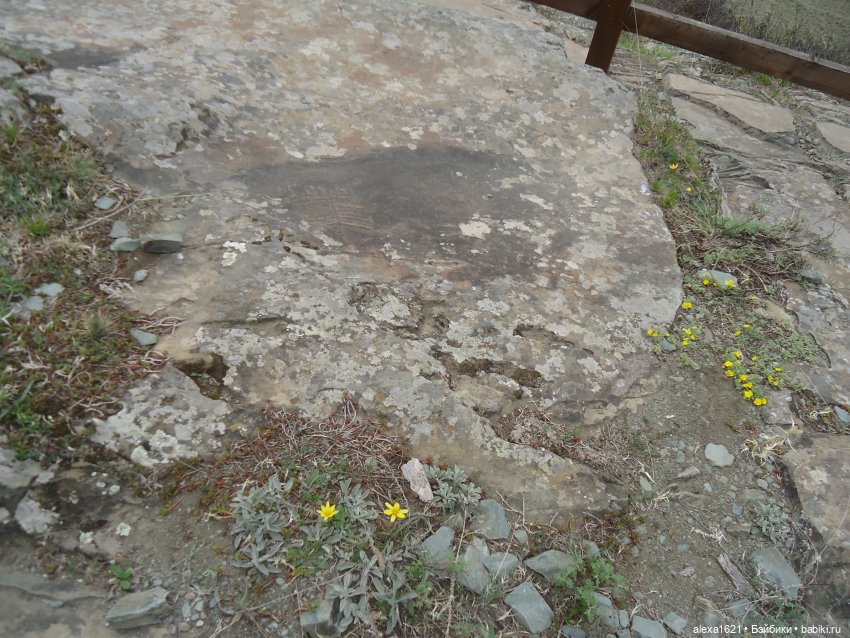 Росела Калбак-Таш Петроглифы (фото 7)