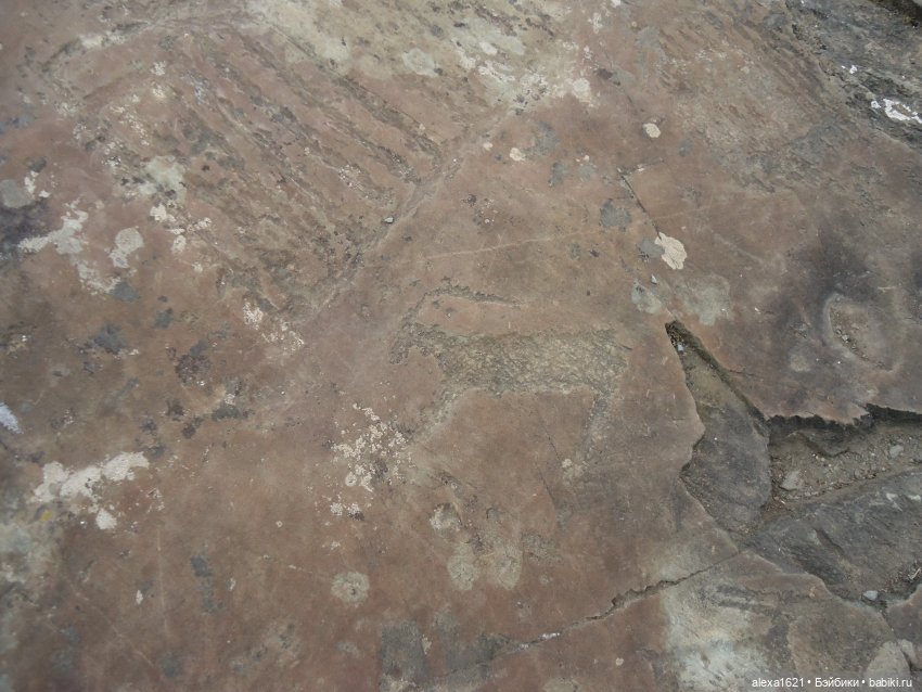 Росела Калбак-Таш Петроглифы (фото 10)